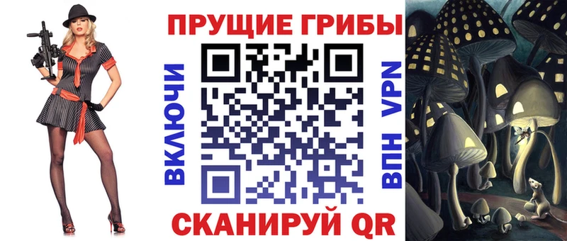 Галлюциногенные грибы GOLDEN TEACHER наркота Кукмор